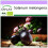 SAFLAX  - Aubergine - Black Beauty - Solanum - 25 Samen 1