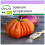 SAFLAX  - Tomate - Ochsenherz - Solanum - 10 Samen 1