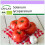SAFLAX  - Tomate - Saint Pierre - Solanum - 15 Samen 1