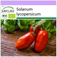 SAFLAX - BIO - Pomodoro - San Marzano - 15 semi - Solanum