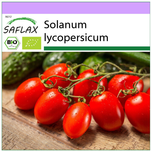 SAFLAX  - Tomate - Roma - Solanum - 15 Samen