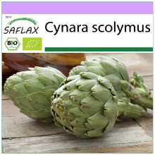 SAFLAX - BIO - Carciofo - Imperial Star - 5 semi - Cynara