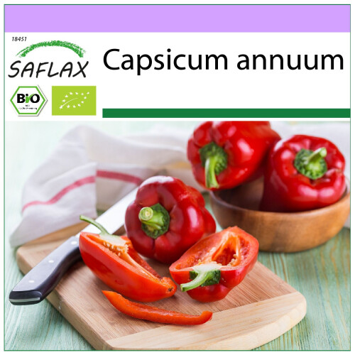 SAFLAX  - Paprika – Wonder - Rot - Capsicum - 20 Samen