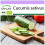 SAFLAX  - BIO - Concombre - Marketmore - 20 graines - Cucumis 1