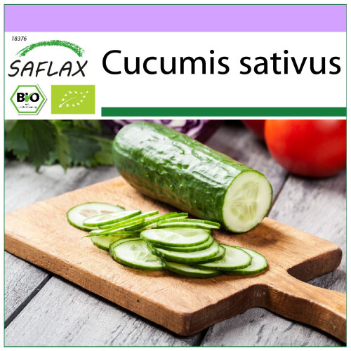 SAFLAX  - BIO - Concombre - Marketmore - 20 graines - Cucumis