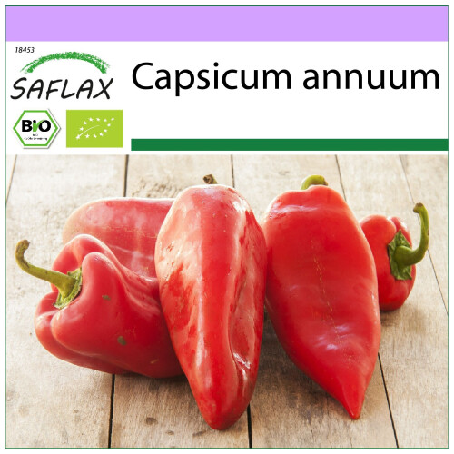 SAFLAX  - Paprika – Marconi - Capsicum - 20 Samen