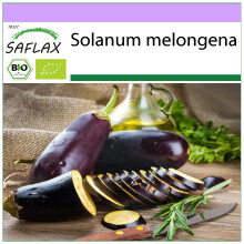SAFLAX - BIO - Melanzana - Long Purple - 20 semi - Solanum