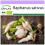 SAFLAX  - BIO - Radis - Glaçon - 100 graines - Raphanus 1