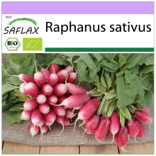 SAFLAX - BIO - Ravanello - French Breakfast - 150 semi - Raphanus