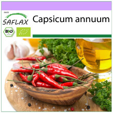 SAFLAX - BIO - Peperoncino - De Cayenne Long Slim - 10 semi - Capsicum