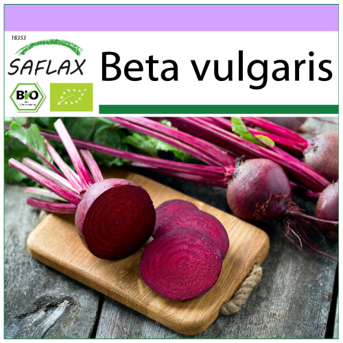 SAFLAX  - BIO - Betterave - Globe de Detroit - 100 graines - Beta