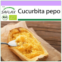 SAFLAX  - BIO - Courge - Spaghetti - 5 graines - Cucurbita