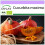 SAFLAX  - BIO - Potiron d'Hokkaido - 5 graines - Cucurbita 1