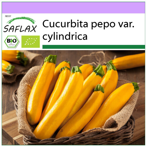SAFLAX  - Ziucchini - Gold Rush - Cucurbita - 5 Samen