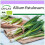 SAFLAX  - BIO - Ciboule - Ishikura - 150 graines - Allium 1