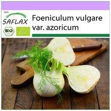 SAFLAX - BIO - Finocchio - 100 semi - Foeniculum