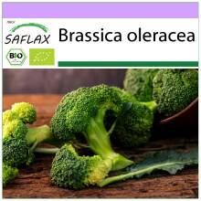SAFLAX - BIO - Broccolo - Calabrese - 100 semi - Brassica