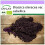 SAFLAX  - Grünkohl – Roter - Brassica - 50 Samen 1