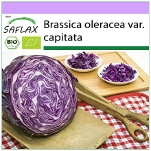 SAFLAX - BIO - Cavolo rosso - Red Drumhead - 250 semi - Brassica