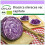 SAFLAX  - Rotkohl – Drumhead - Brassica - 250 Samen 1
