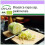 SAFLAX  - BIO - Chou chinois - Granat - 40 graines - Brassica 1