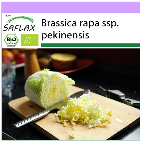 SAFLAX  - BIO - Chou chinois - Granat - 40 graines - Brassica