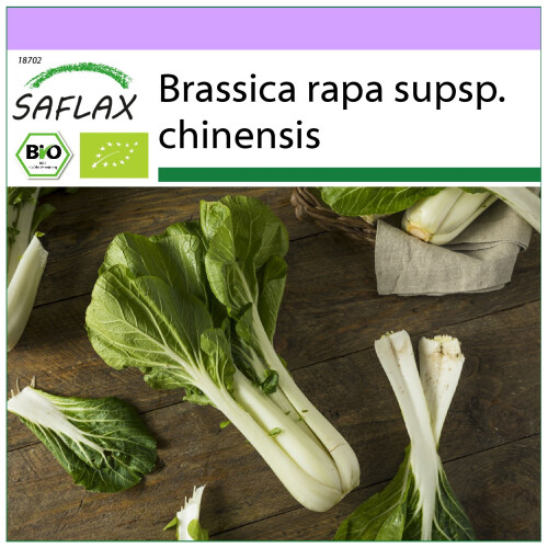 SAFLAX  - BIO - Bok choy - 300 graines - Brassica