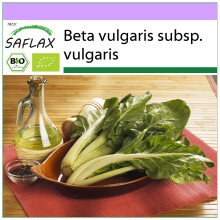 SAFLAX - BIO - Bietola - 150 semi - Beta