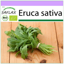 SAFLAX - BIO - Rucola - 3000 semi - Eruca