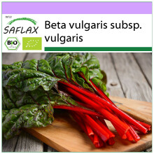 SAFLAX - BIO - Bietola - Rabarbaro - 50 semi - Beta