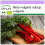 SAFLAX  - BIO - Rhubarbe - 50 graines - Beta 1