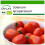 SAFLAX  - Tomate - Borghese - Solanum - 10 Samen - Mit Substrat 1