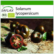 SAFLAX - BIO - Pomodoro - Black cherry - 10 semi - Con substrato - Solanum
