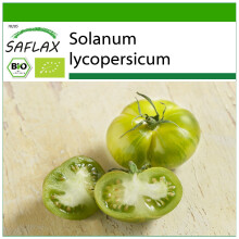 SAFLAX - BIO - Pomodoro - Green Zebra - 10 semi - Con substrato - Solanum