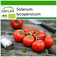 SAFLAX - BIO - Pomodoro - Matina - 10 semi - Con substrato - Solanum