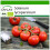 SAFLAX  - Tomate - Matina - Solanum - 10 Samen - Mit Substrat 1