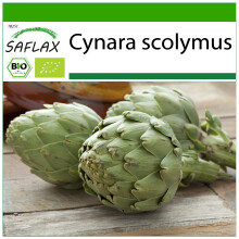 SAFLAX - BIO - Carciofo - Imperial Star - 5 semi - Con substrato - Cynara