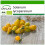 SAFLAX  - Tomate – Submarine - Solanum - 10 Samen - Mit Substrat 1