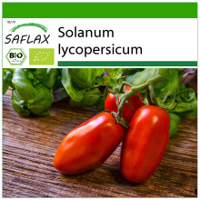 SAFLAX - BIO - Pomodoro - San Marzano - 15 semi - Con substrato - Solanum