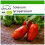 SAFLAX  - Tomate – Marzano - Solanum - 15 Samen - Mit Substrat 1