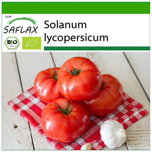SAFLAX  - Tomate - Saint Pierre - Solanum - 15 Samen - Mit Substrat