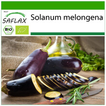 SAFLAX - BIO - Melanzana - Long Purple - 20 semi - Con substrato - Solanum