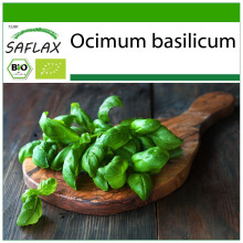SAFLAX - Organic - Basil Genovese - 800 seeds - With potting substrate for better cultivation - Ocimum basilicum