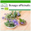 SAFLAX  - Borretsch - Borago - 40 Samen - Mit Substrat 1