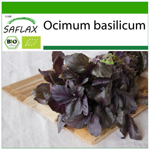 SAFLAX - BIO - Basilico Rosso - 400 semi - Con substrato - Ocimum