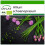 SAFLAX  - BIO - Ciboulette - 250 graines - Avec substrat - Allium 1