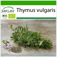 SAFLAX - Thymian - Thymus - 800 Samen - Mit Substrat