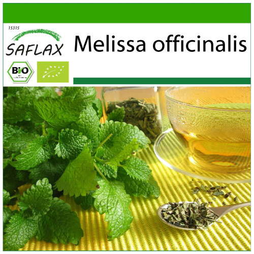 SAFLAX - BIO - Melissa - 1000 semi - Con substrato - Melissa