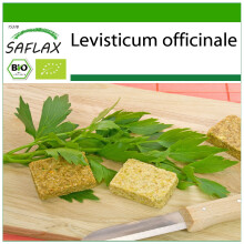SAFLAX - BIO - Levistico o sedano di monte - 100 semi - Con substrato - Levisticum