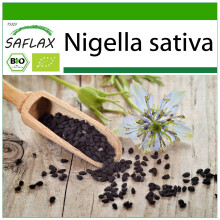 SAFLAX - Schwarzkümmel - Nigella - 300 Samen - Mit Substrat